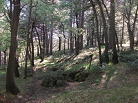otta delle Femmine27052012 094